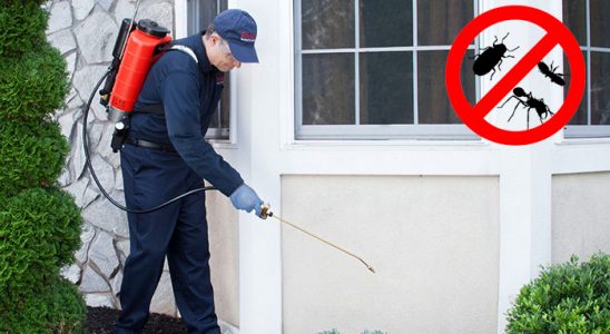 Poligon Fare İlaçlama böcek ilaçlama ve haşere kontrolü — ilaclama-tr.com